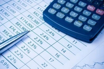 Công ty Cổ phần Hoàng Anh Gia Lai bị phạt 245 triệu đồng