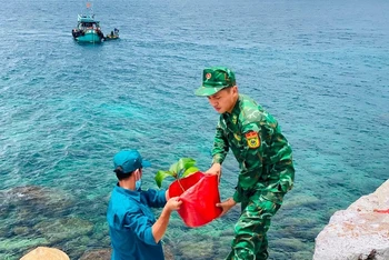 [Ảnh] Bộ đội biên phòng trồng cây tại Hòn Nhạn