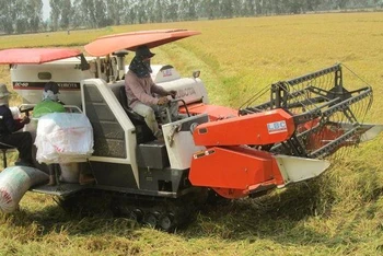 An Giang là trong vựa lúa của cả nước.