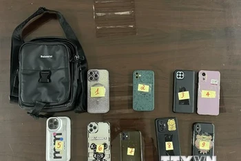 Hà Nội bắt đối tượng thực hiện 9 vụ trộm tài sản của du khách đi lễ chùa