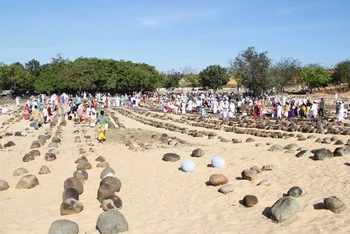 Hàng nghìn người Chăm theo đạo Bà Ni trên địa bàn tỉnh Ninh Thuận tựu về các nghĩa trang của làng mình để cùng thực hiện nghi thức tảo mộ-nghi thức quan trọng nhất trong Lễ hội Ramưwan, để mời ông bà, tổ tiên, người thân đã qua đời về vui đón Tết.