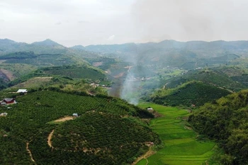 Hiện tỉnh Đắk Nông còn hàng chục nghìn hộ dân di cư tự do sống không tập trung trong rừng phòng hộ, khu bảo tồn, vườn quốc gia và đất lâm nghiệp trên địa bàn.