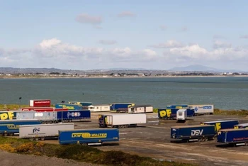 Những người di cư được phát hiện trong một chiếc xe container đông lạnh ở cảng Rosslare. (Ảnh: Bloomberg)