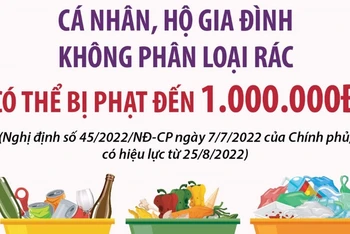 Cá nhân, hộ gia đình không phân loại rác có thể bị phạt đến 1 triệu đồng