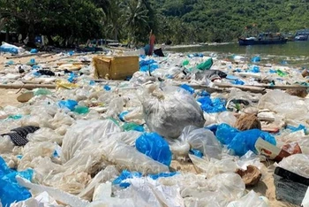 Khu vực bãi Chính của vịnh Vũng Rô thuộc xã Hòa Xuân Nam, thị xã Đông Hòa (Phú Yên) ngập tràn rác thải nhựa. (Ảnh: TTXVN)