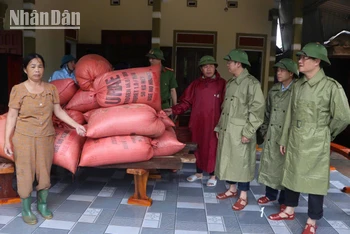 Lãnh đạo huyện Cẩm Xuyên đi kiểm tra, hỗ trợ và động viên các hộ dân chủ động ứng phó với tình hình mưa lũ.