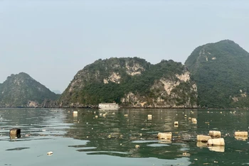 Xuất phát từ việc thay đổi vật liệu nuôi trồng thủy sản và làm lồng bè đã làm phát tán một lượng lớn phao xốp trôi nổi trên Vịnh Hạ Long và Bái Tử Long.