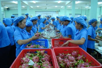 Xuất khẩu nông sản đối diện nhiều khó khăn.