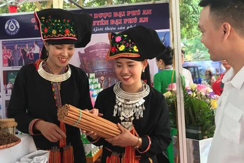 Giới thiệu sản phẩm quế điếu.