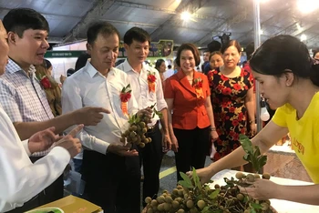 Hội chợ kết nối cung cầu tiêu thụ nhãn ở tỉnh Hưng Yên.