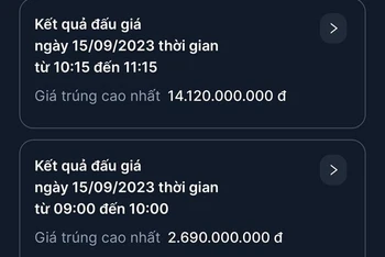 2 biển số đẹp được đấu giá thành công trong phiên sáng nay. (Ảnh: TTXVN)