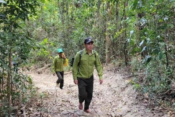 Ngày Tết, vẫn đảm bảo công tác tuần tra kiểm soát. Ảnh: XUÂN HUY