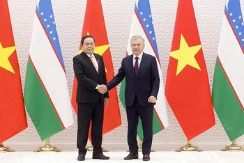 Chủ tịch Quốc hội Trần Thanh Mẫn hội kiến Tổng thống Uzbekistan Shavkat Mirziyoyev. (Ảnh: TTXVN)