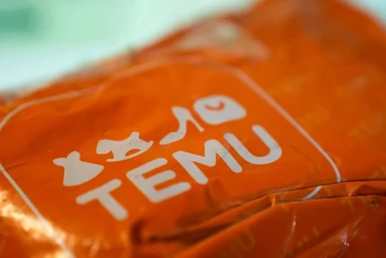 Temu đại tu mô hình vận chuyển. (Ảnh: TTXVN)