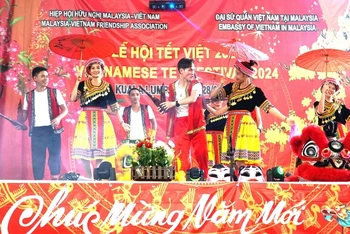Màn múa dân tộc của các thành viên Hội hữu nghị Malaysia-Việt Nam. Ảnh: Hằng Linh/TTXVN