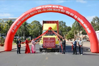 Container mắc ca Đắk Lắk chính ngạch đầu tiên xuất khẩu đi thị trường Hàn Quốc.