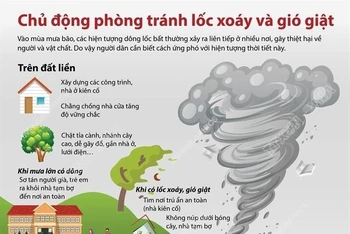 [Infographics] Chủ động phòng tránh lốc xoáy và gió giật