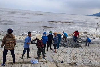 Ngay trong sáng 26/9, hơn 200 cán bộ, người dân địa phương đã được huy động để gia cố kè biển Cẩm Nhượng.