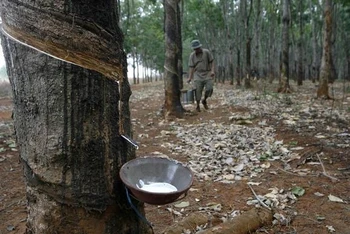 Ảnh minh họa. (Nguồn: Reuters)