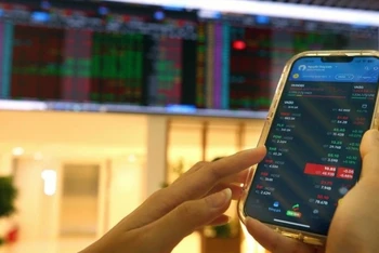 Khách hàng giao dịch tại Hội sở chính Công ty Chứng khoán Bảo Việt. (Ảnh: TTXVN)