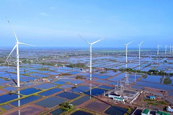 Toàn cảnh Nhà máy Ðiện gió Kosy Bạc Liêu giai đoạn 1. (Ảnh Văn Toàn)