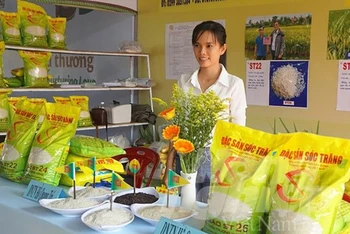 Sản phẩm gạo ST24 do nhóm nhà khoa học của tỉnh Sóc Trăng lai tạo, phát triển.