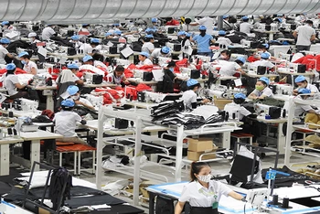 Công ty TNHH Ðầu tư Việt Sun Ninh Thuận (Khu công nghiệp Thành Hải) sản xuất trên dây chuyền may đạt tiêu chuẩn quốc tế.