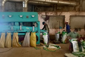 Hợp tác xã Khiết Tâm (thành phố Cần Thơ) áp dụng khoa học kỹ thuật vào sản xuất, chế biến lúa, gạo.
