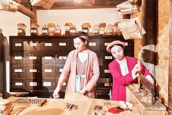 Giới thiệu về nghề thuốc phố Lãn Ông trong khuôn khổ Chương trình Giữ nghề xưa trên phố do Ban Quản lý phố cổ Hà Nội tổ chức.