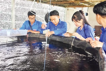 Anh Chau Kim Sêng (thứ hai từ trái qua) có thu nhập cao từ nghề nuôi cá, trồng rau thủy canh.