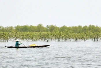 Người dân trên phá Tam Giang. 