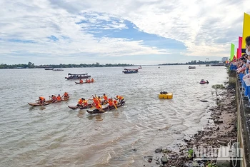 Đua ghe tam bản trên sông Cổ Chiên