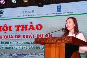 Chủ tịch Hội Nông dân tỉnh Đắk Lắk Lại Thị Loan giới thiệu về dự án tại hội thảo.