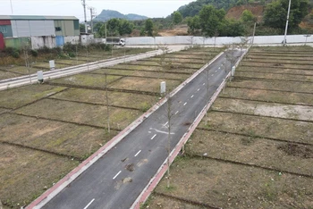Các thửa đất được chia tách.