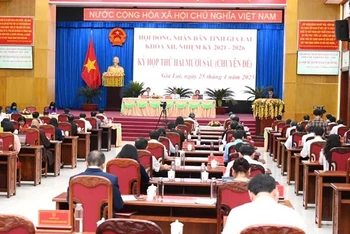Quang cảnh Kỳ họp.