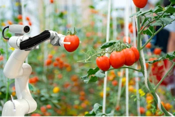 Robot hái trái cây, kết quả từ đề tài khoa học-công nghệ của Trường đại học Công nghệ - Đại học Quốc gia Hà Nội.
