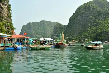 Cảnh sắc Hạ Long.