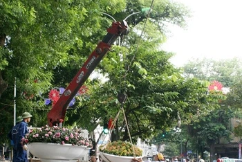 Đặt các chậu hoa tươi trang trí đường phố Hà Nội nhân kỷ niệm 60 năm Ngày giải phóng Thủ đô. Ảnh: LÊ MINH