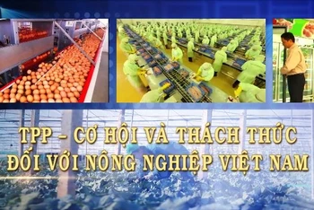 TPP - Cơ hội và thách thức đối với nông nghiệp Việt Nam 