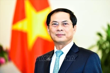Đóng góp có trách nhiệm của Việt Nam vào hợp tác toàn cầu, tạo động lực mới cho quan hệ Việt Nam - Nhật Bản 