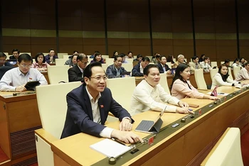 Đoàn đại biểu Quốc hội tỉnh Thanh Hóa tham gia biểu quyết, sáng 20-11.