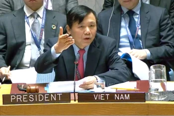 Đại sứ Đặng Đình Quý, Trưởng phái đoàn đại diện thường trực Việt Nam tại LHQ điều hành phiên họp UNOWAS (Ảnh chụp màn hình: N.T)