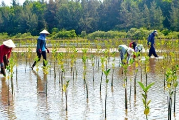 Viện trợ không hoàn lại hơn 30 triệu USD để Việt Nam ứng phó với biến đổi khí hậu 