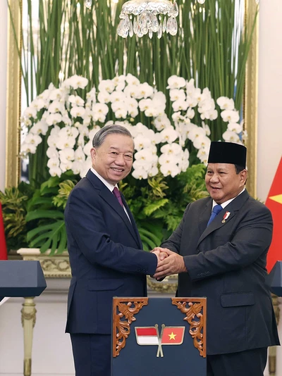 Việt Nam - Indonesia