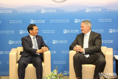 Bộ trưởng Ngoại giao Bùi Thanh Sơn gặp Tổng Thư ký OECD Mathias Cormann. Ảnh: MINH DUY