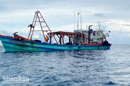 Tàu KG 93003 TS đang bị dẫn giải về cảng thuộc Bộ Tư lệnh Vùng Cảnh sát biển 4 ở thành phố Phú Quốc.