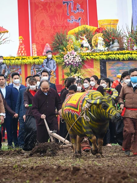 Chủ tịch nước Nguyễn Xuân Phúc xuống đồng cày ruộng đầu xuân năm mới. (Ảnh: THÀNH ĐẠT)