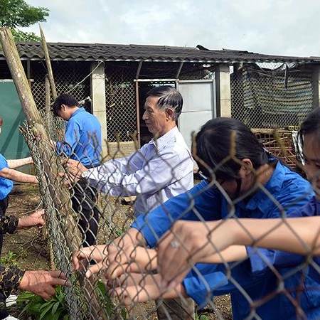 Đoàn viên, thanh niên địa phương dựng lại hàng rào khu vực chăn thả gia cầm của gia đình ông Nguyễn Thanh Đức, cựu chiến binh mắc bệnh hiểm nghèo, hoàn cảnh khó khăn của huyện Điện Biên.