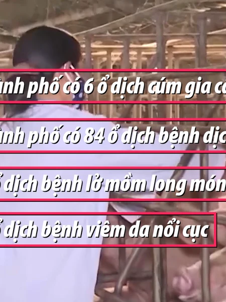 [Video] Triển khai các giải pháp phòng, chống dịch bệnh gia súc, gia cầm 