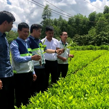 [Video] Phê duyệt Đồ án Quy hoạch chung xây dựng Khu lâm nghiệp ứng dụng công nghệ cao vùng Bắc Trung Bộ